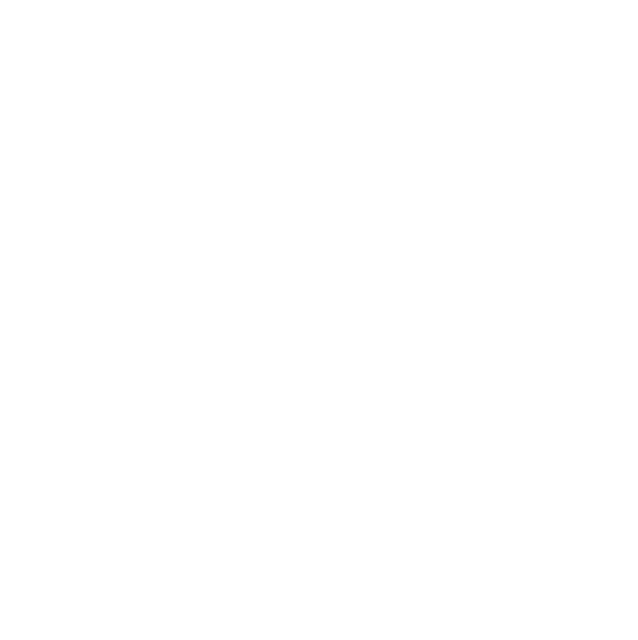 logo diego valor